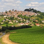 sancerrebis